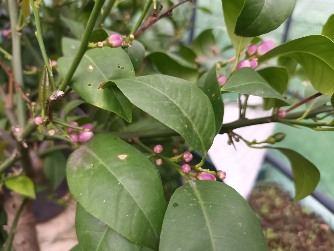 IMG_20221026_170142_a