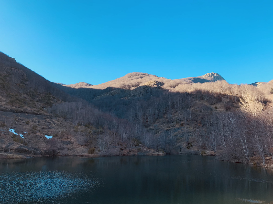 461B3931-9666-4653-95C3-772F0D252FEE