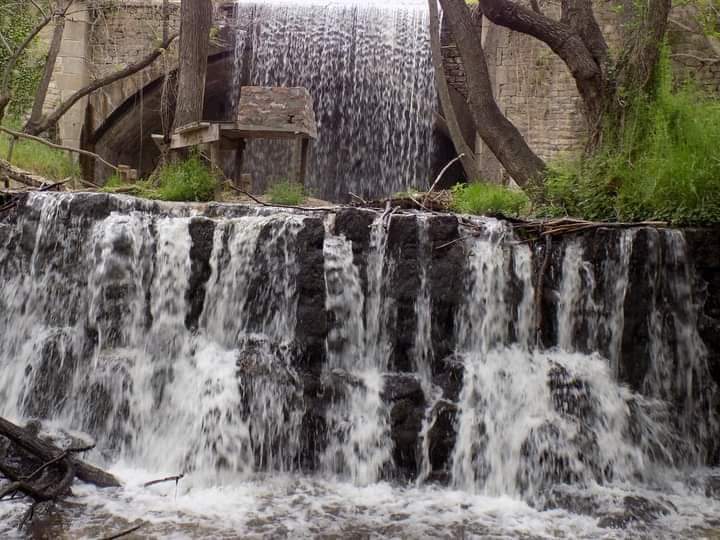 FB_IMG_1620492256681