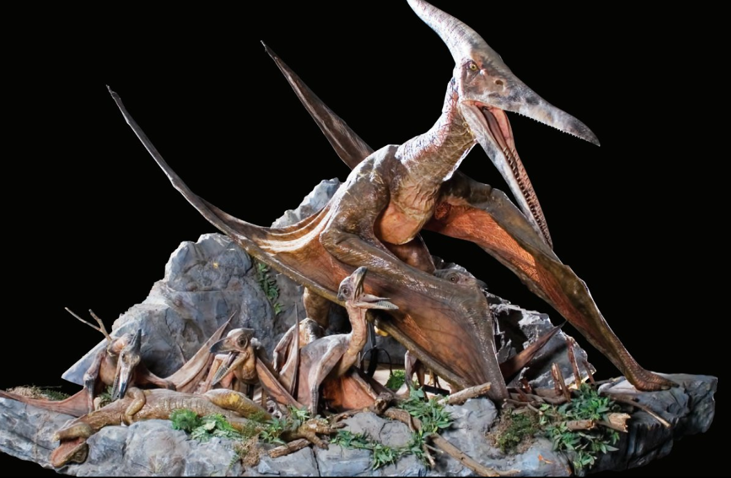 Even though the name means 'toothless wing' they still gave it teeth. It's dated but it looks cool I like the aviary scene so I wont complain.