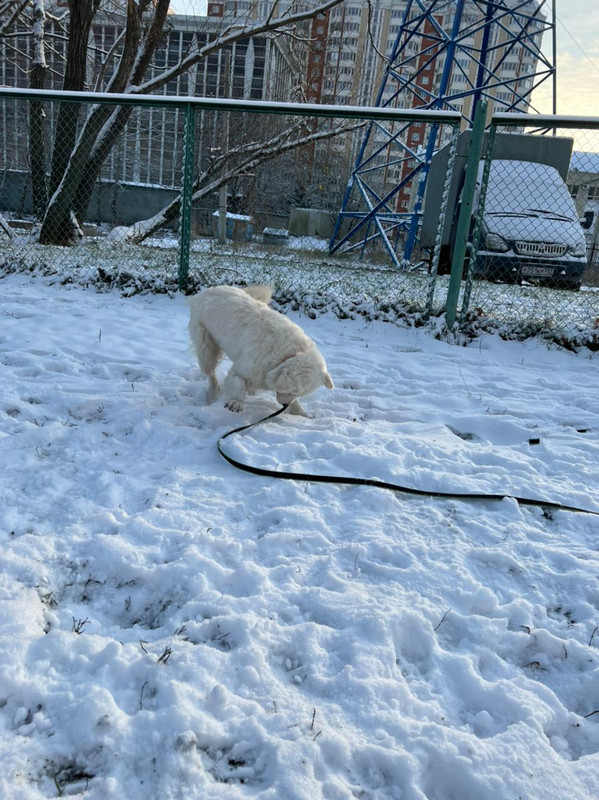 DB7695D2-4BD3-4094-ADE7-E397EF011A6E