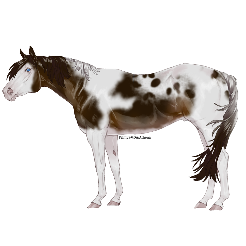Untitled88-20250713204745.png