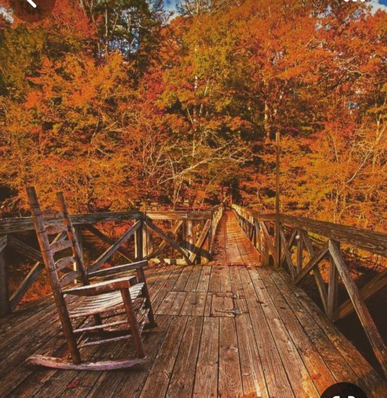 Screenshot_20231201_000529_Pinterest