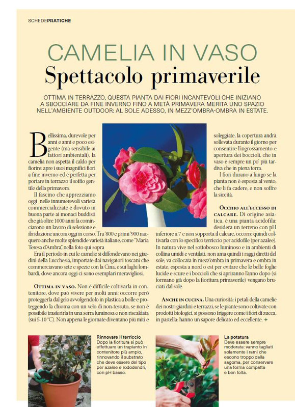 il mio Giar Feb Mar 2026 (7)