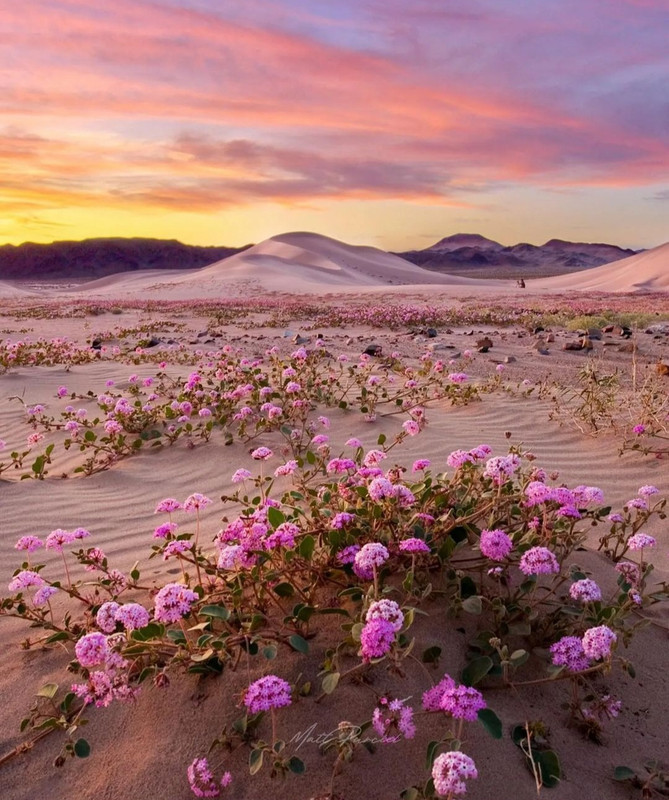 Screenshot_20240419_233526_Threads