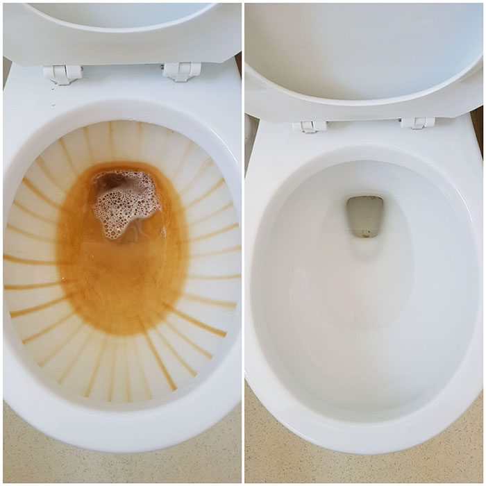 pumie toilet bowl