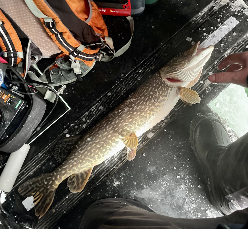 6FB422E8-A774-48B5-9719-37CDE7D2E954