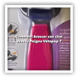 Site-Web-vignette-Instagram-Peigne-48