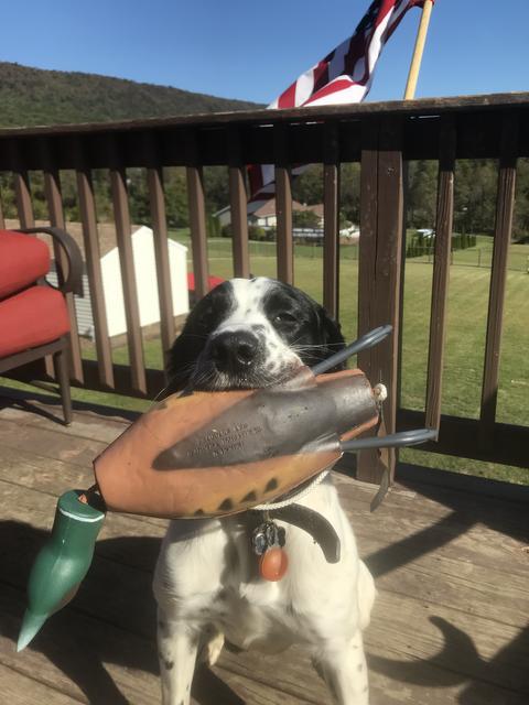 414A2E4C-483A-41F1-B3AB-1BE23569B699