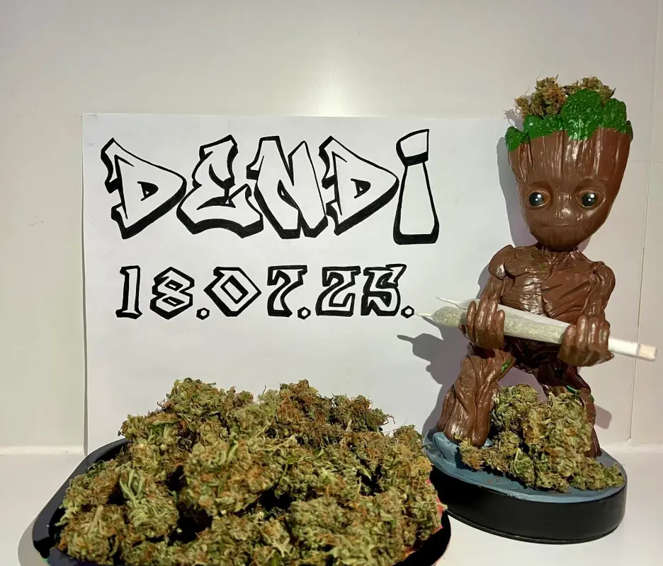 Без названия (3)