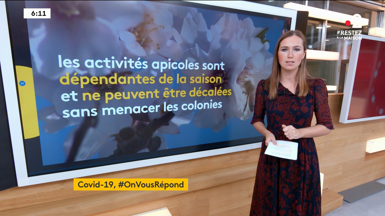 2020-04-09_06_00_Fr2_Le-6h-info.mp4_snapshot_17.16_[2020.04.19_22.50.52]