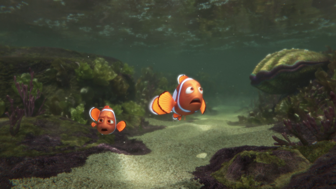 vlcsnap-2023-11-19-20h50m02s826