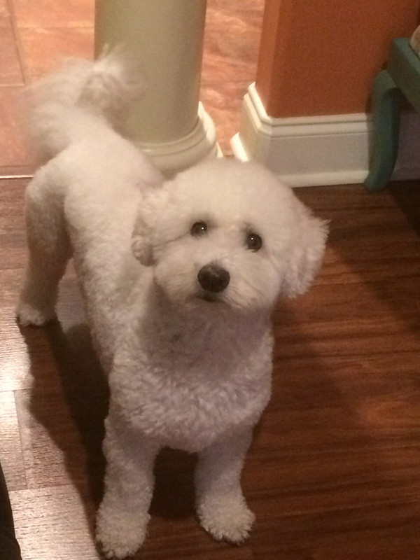 41C7A4CB-425B-4FF6-9EED-EF1C0C5473A1