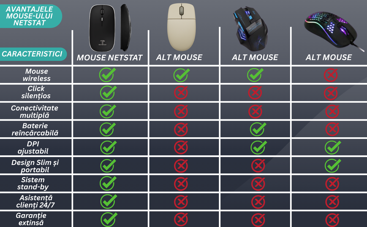 Mouse NETSTAT Prezentare 8