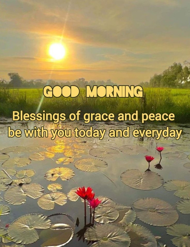 download - 2025-10-11T071516.899