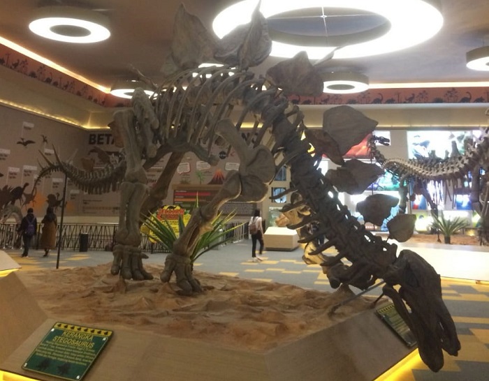 Dino Park