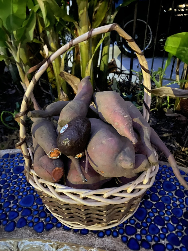 18A2506E-71C6-4DC6-9F65-2E76155501F8