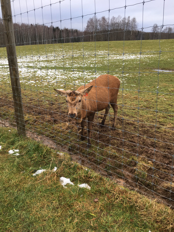 A121F157-9277-4F2F-987C-B16E91889073