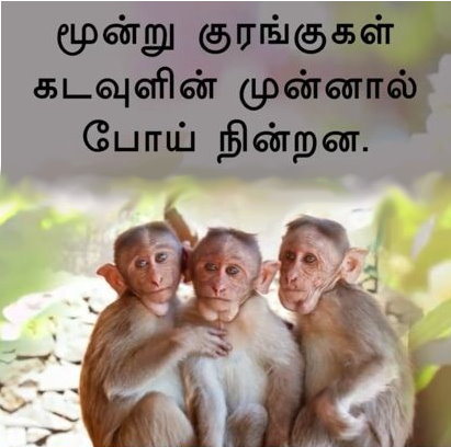 three-Monkeys1.jpg