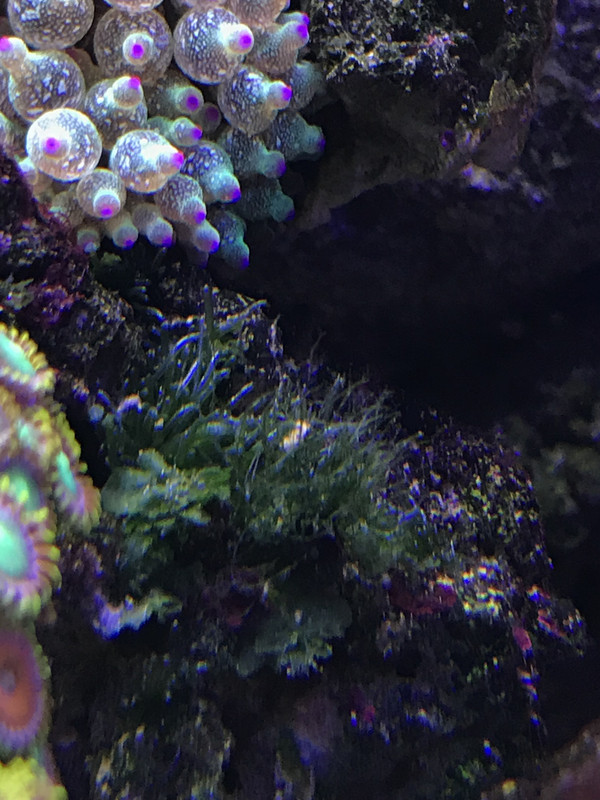 240FC616-5BD5-4C84-B08C-1D6FFCE42A1F