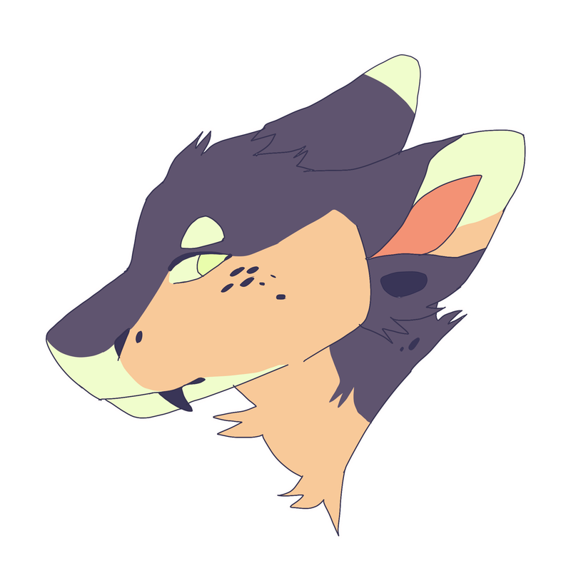 19671755_B8Jz8vyb9fs2BdJ