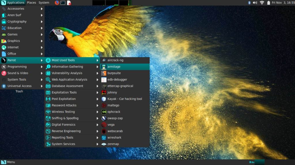 parrot1-1024x576.jpg
