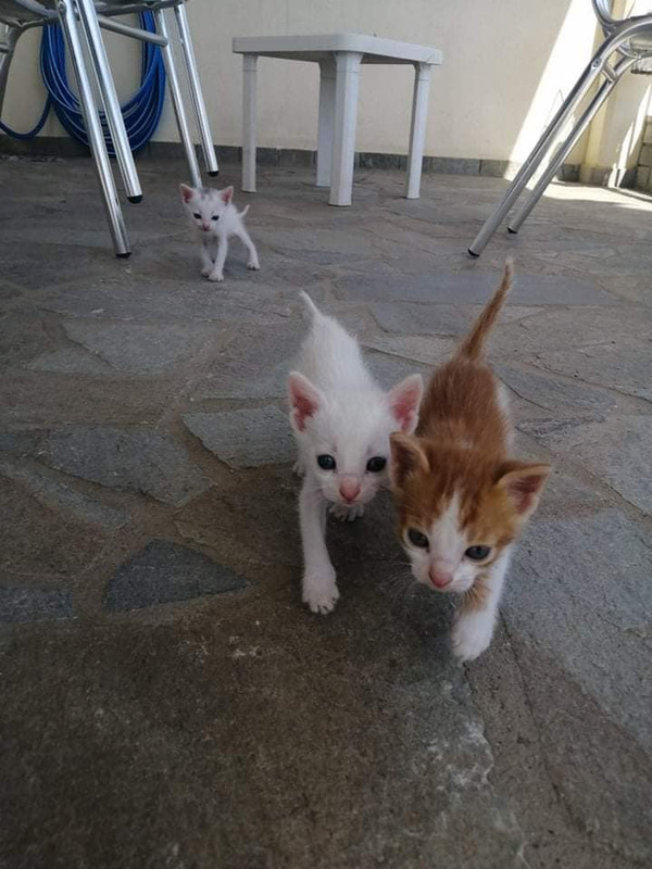 Εικόνα