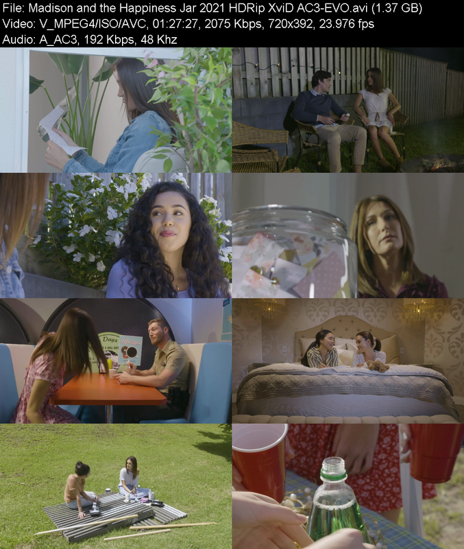 madison-and-the-happiness-jar-2021-hdrip-xvid-ac3-evo.png