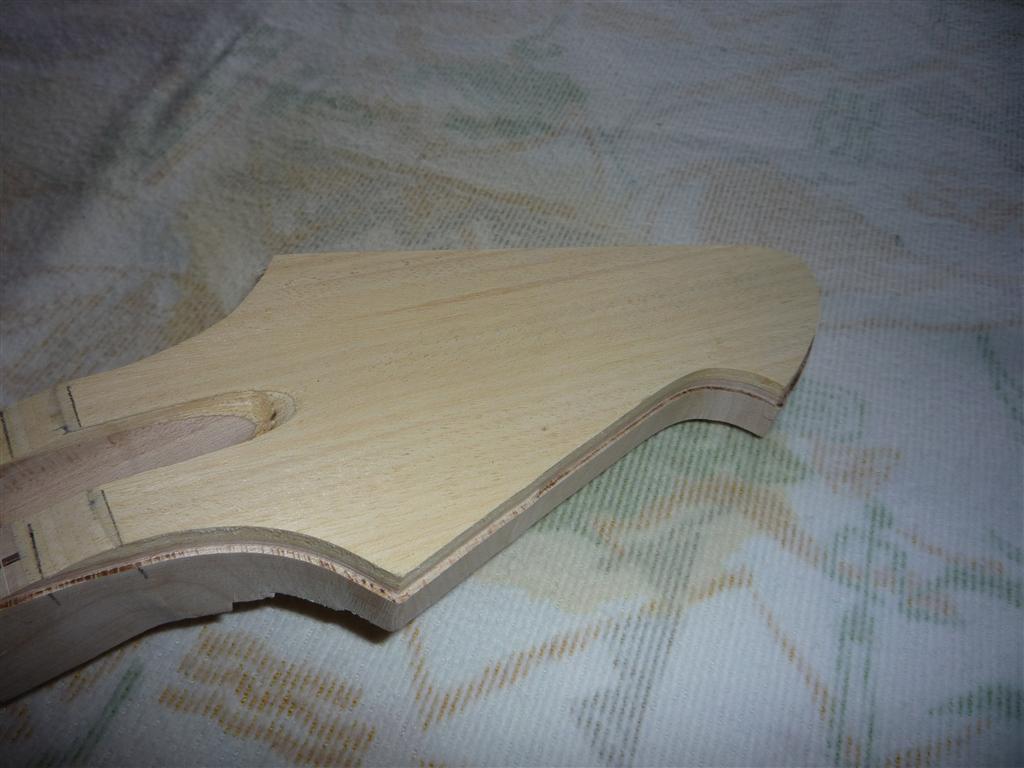 462181_p1020101_medium