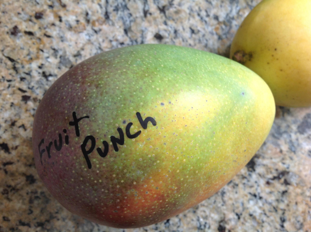 fruit punch