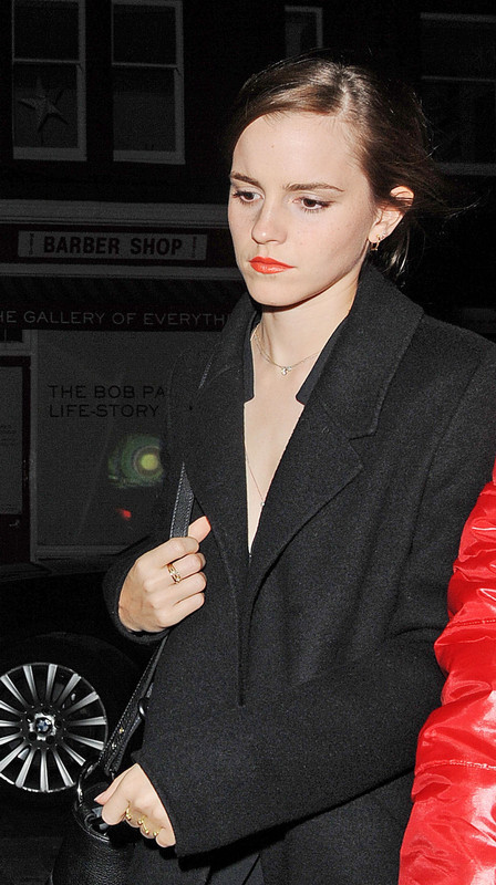 emmawatson-photogallery.blogspot.com (2)