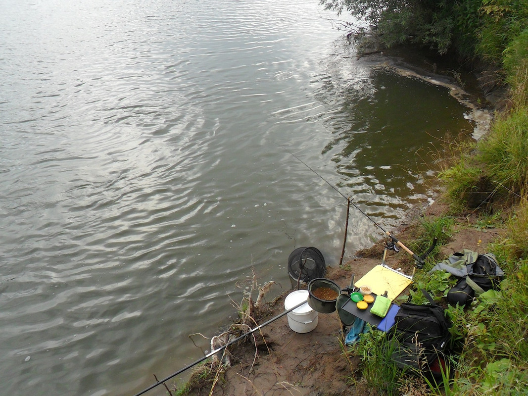 Кочебахтино 2.08.13 4