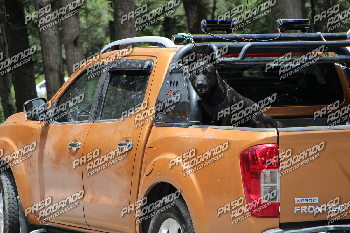 IMG 2213 wm 946679 7000000002 watermarked — Postimages