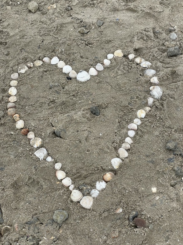 [Image: IMG-2100.jpg]