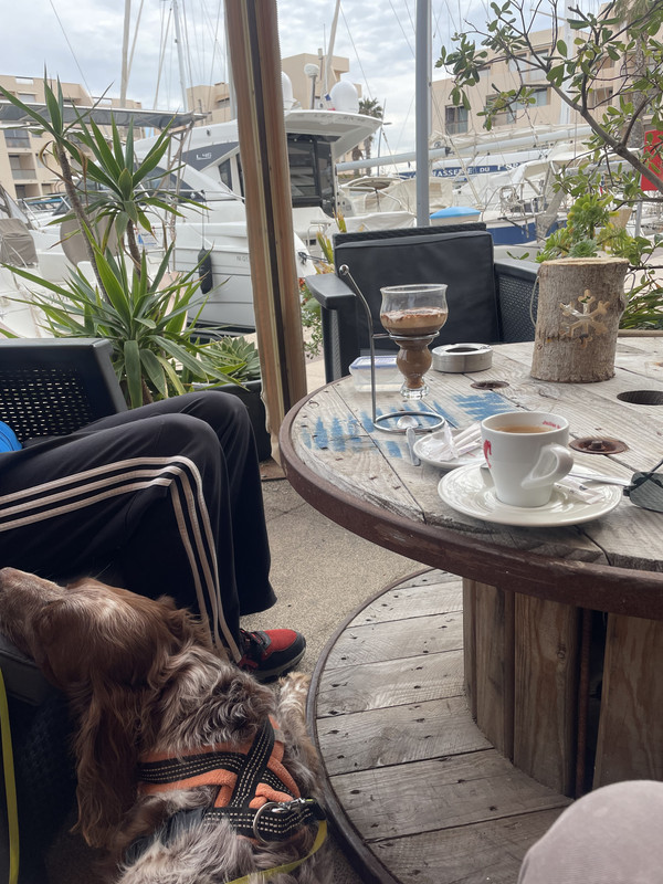 00557F65-05AB-487E-A217-BDA649C06B5E