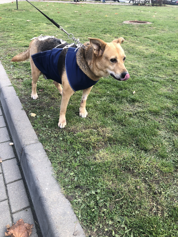 58E7560A-058B-4ED8-92E8-5FC332E3CAD2