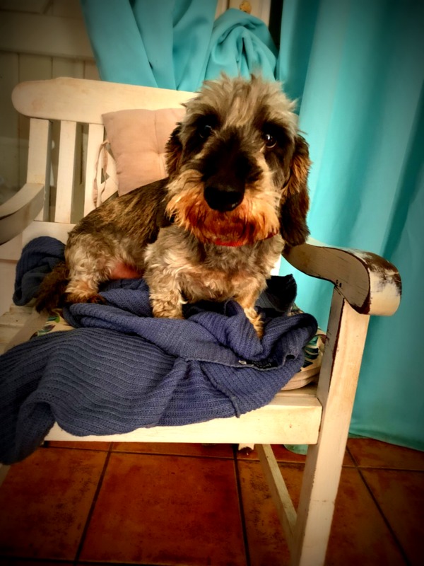 [Image: IMG-0878.jpg]