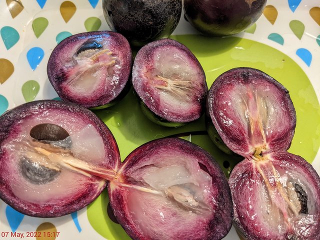 [Image: PXL-20220507-191740147.jpg]