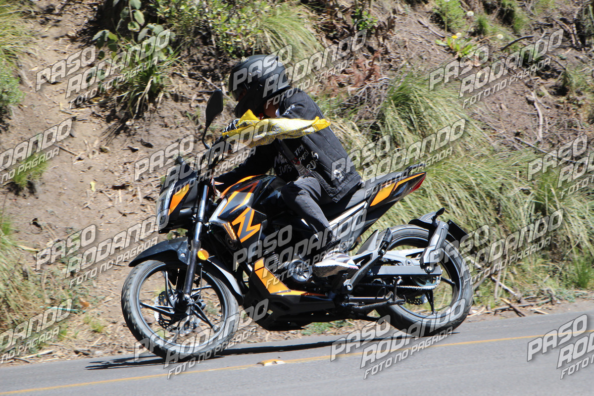 IMG 0900 wm 4253452 6 watermarked — Postimages