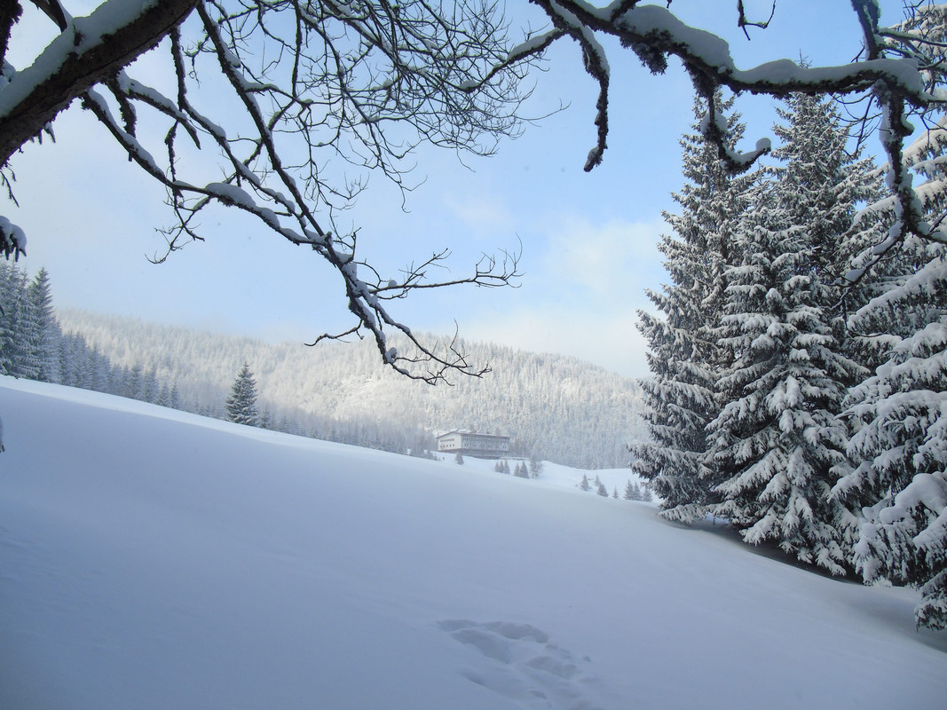 09.11 - DSC05069 (PawelK)