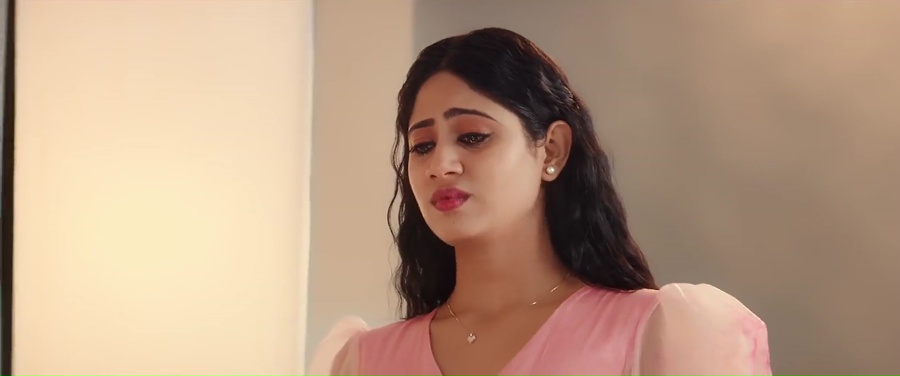 Sarangadhariya 2024 WebRip [Telugu] 480p, 720p ESub Screenshot