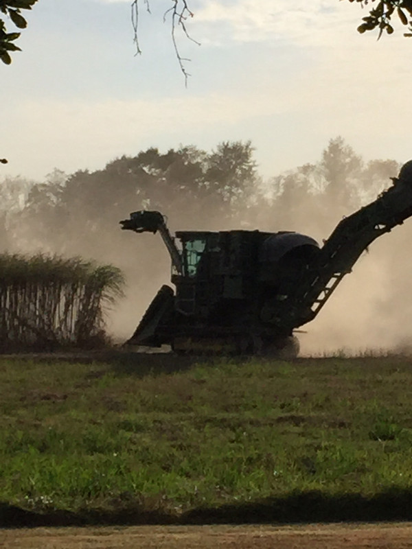 0C9F9CE2-33AA-478F-9CFB-9763F13C2F04