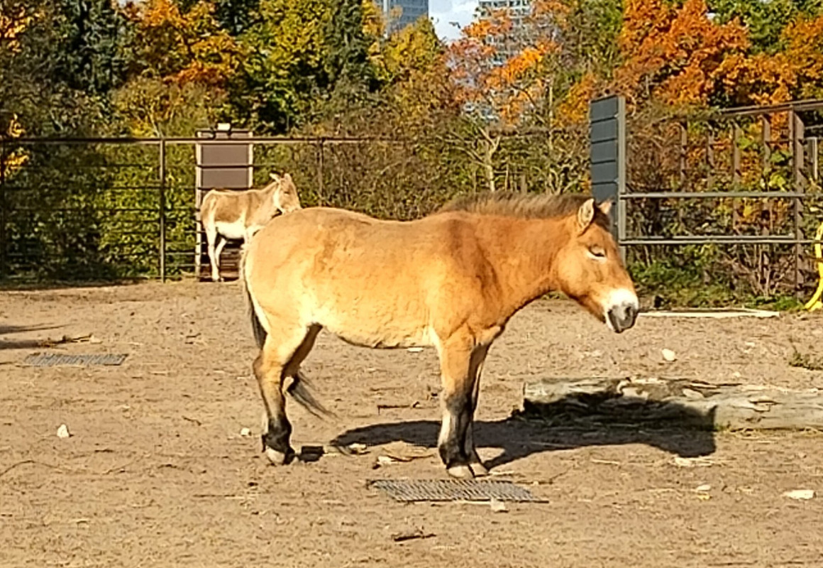 559152667_10231724418586676_443243193674714948_n