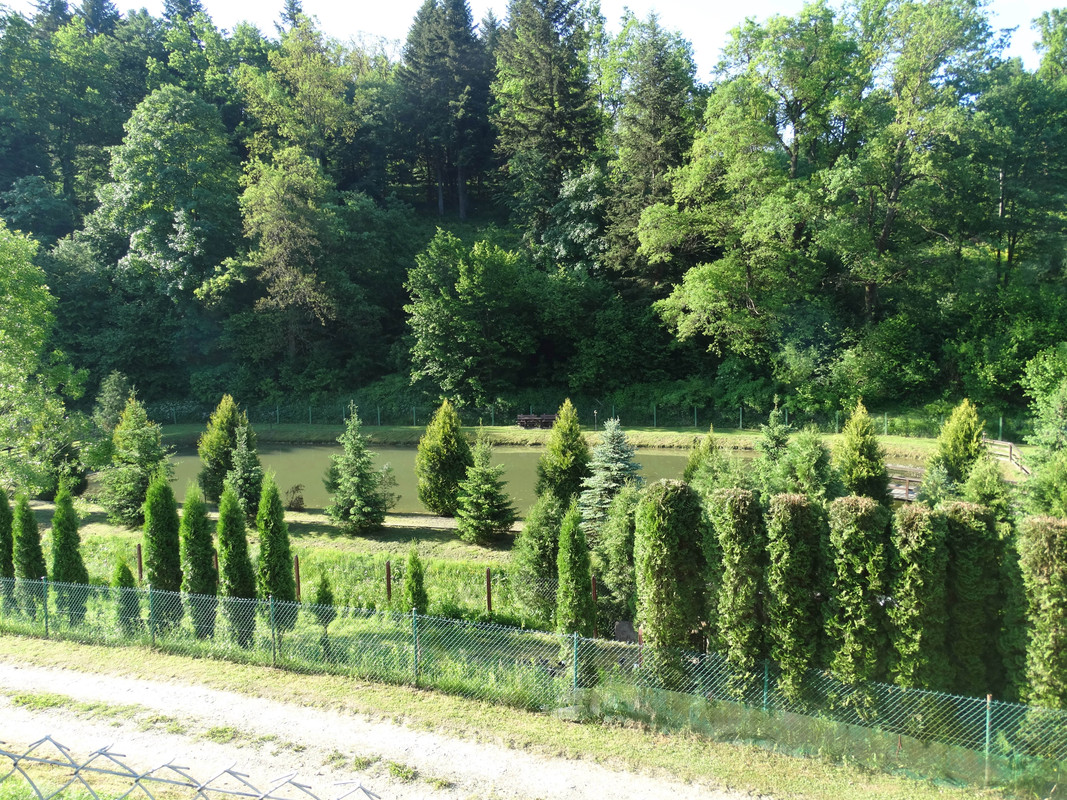 050 - DSC01576 (Czesio1)