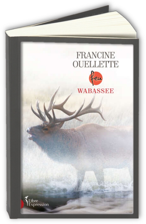 Feu-T6-Wabassee-Francine-Ouellette.jpg