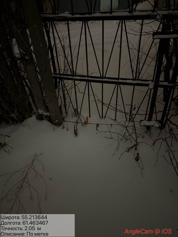 IMG 0935