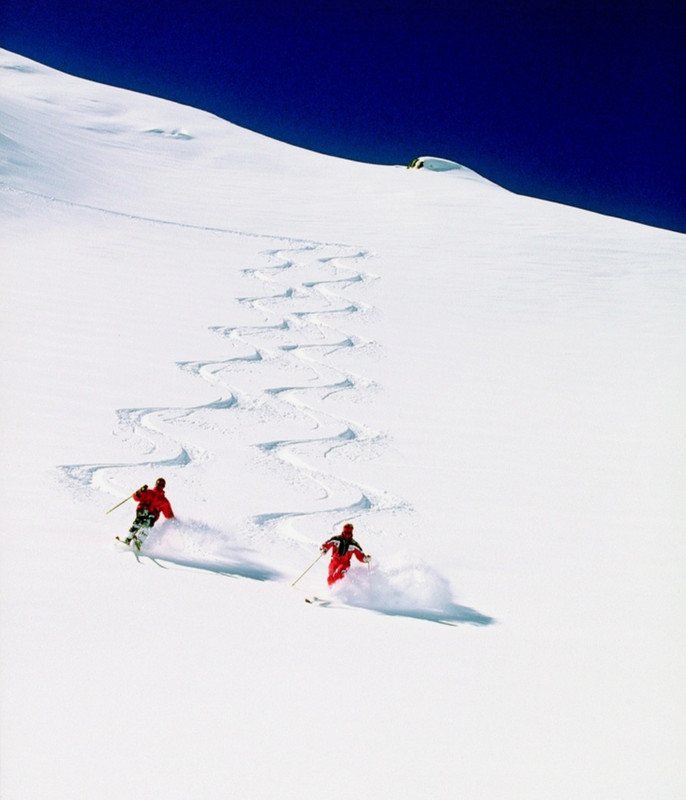 Screenshot_20231211_194929_Pinterest