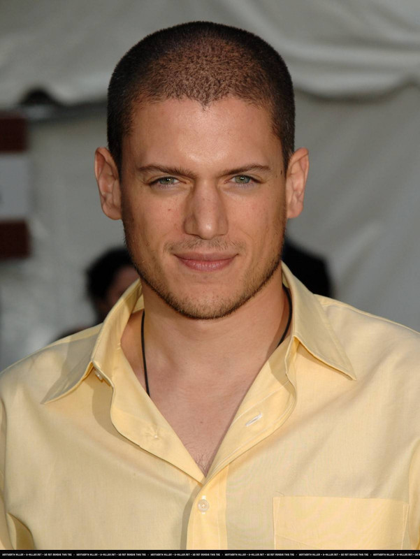 Wentworth Miller 2024 Zwart haar & klassieke haarstijl
