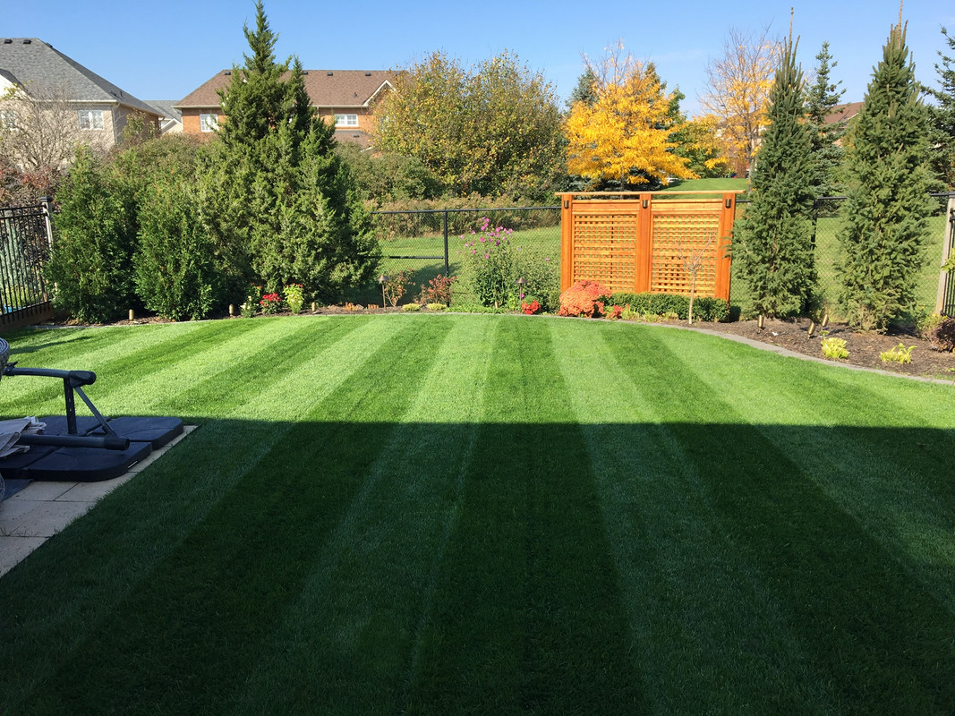 FF7BD195-1983-40CE-ADE9-5F91F5448F8E