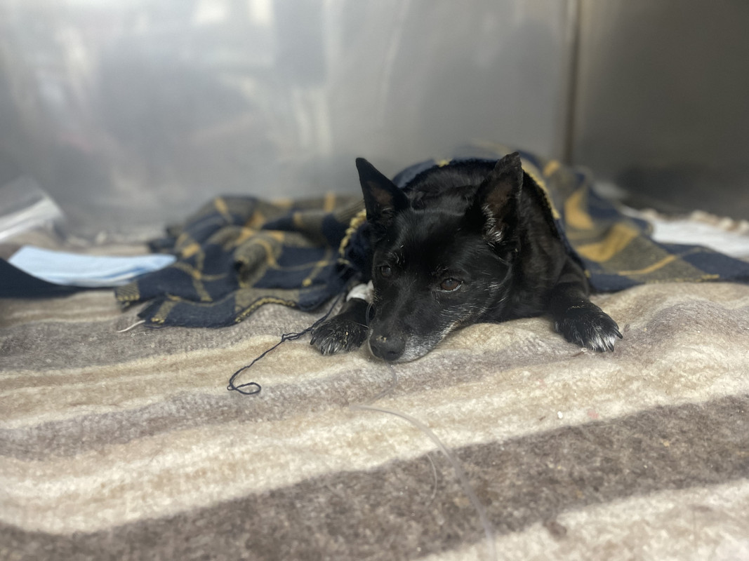 F63C2520-0159-4EC9-9CFC-7BBE4D9414AD